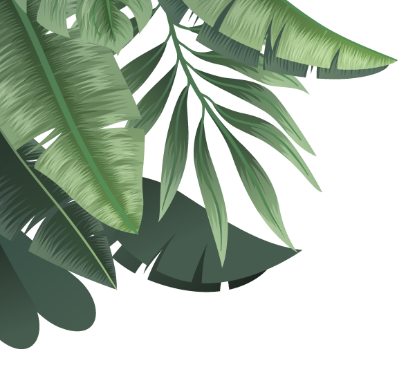 giant-leaf